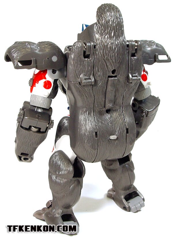 Image Of Takara Transformers Beast Wars Reborn BWR 01 Optimus Primal  (7 of 33)